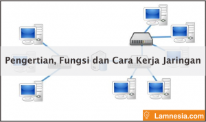 Pengertian, Fungsi dan Cara Kerja Jaringan