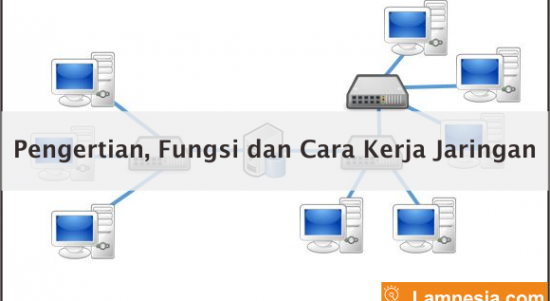 Pengertian, Fungsi dan Cara Kerja Jaringan