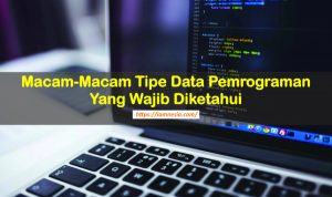 Macam-macam tipe data