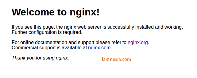 Tampilan Nginx pada proses Install di Debian 12