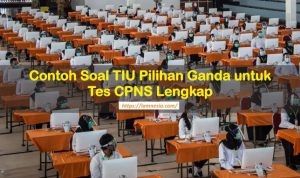 Contoh Soal Tes TIU untuk seleksi CPNS